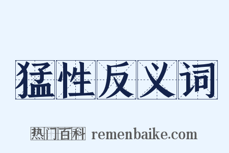 猛性反义词是什么意思的图片